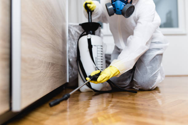 Best Pest Prevention Services  in Arcade, GA