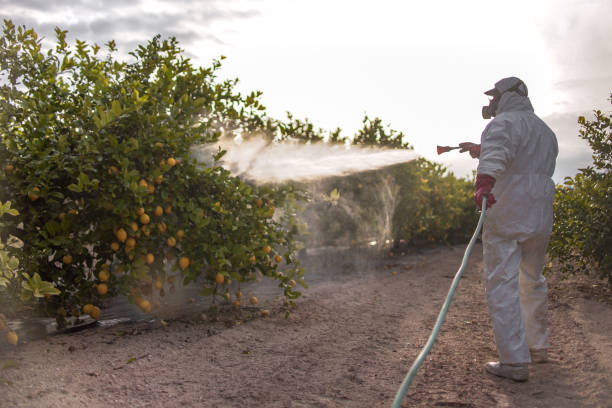 Best Exterminator Services  in Arcade, GA